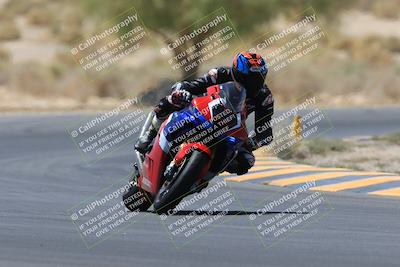 media/May-14-2023-SoCal Trackdays (Sun) [[024eb53b40]]/Turn 5 Tree of Life (1125am)/